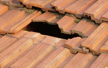 roof repair Pant Y Dwr, Powys