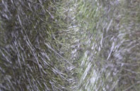 Pant Y Dwr fibreglass roof work